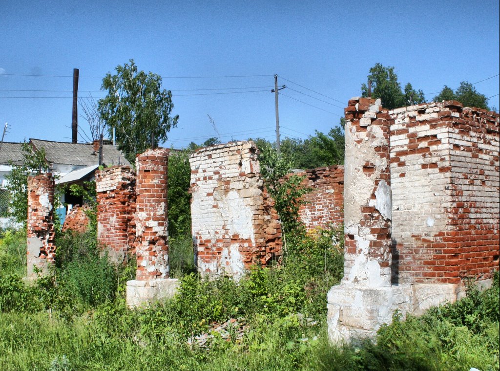 Gus-Zhelezny, Ryazan Oblast, Russia, 391320 by Andris Malygin