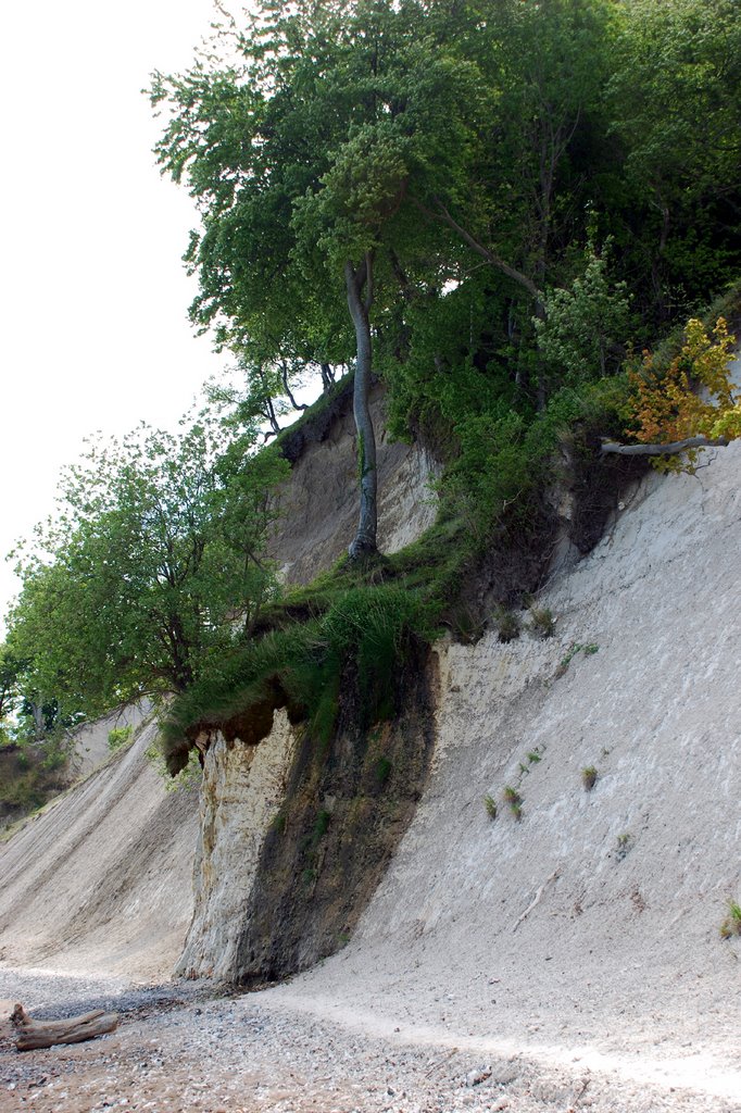 Steilufer am Königsstuhl 2 by wekado