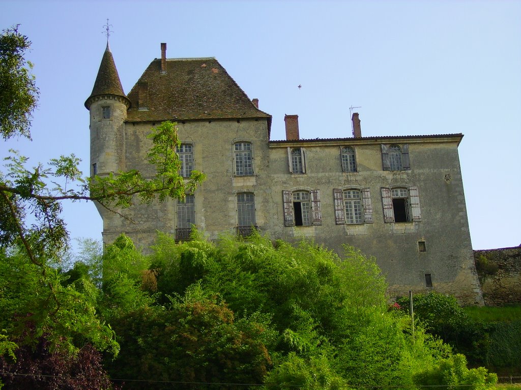 Castets-en-Dorthe- Château du Hamel by Spaniel 33