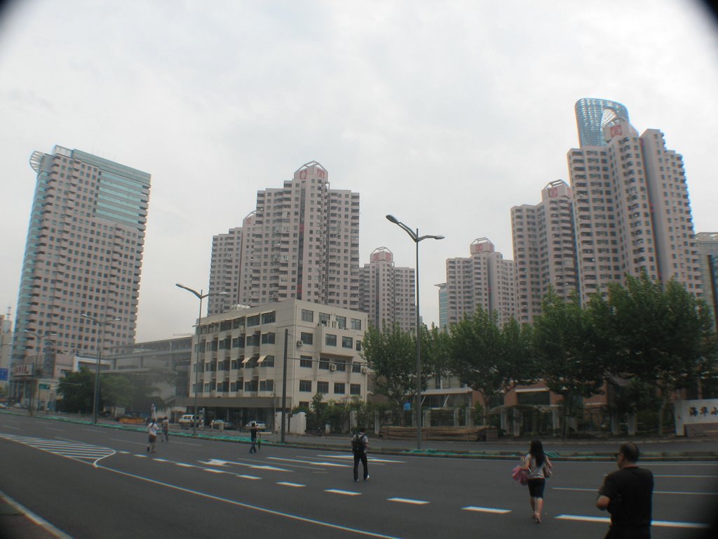 上海市卢湾区绿化和市容管理局 Luwan District, Shanghai city greening and Authority by 竹金