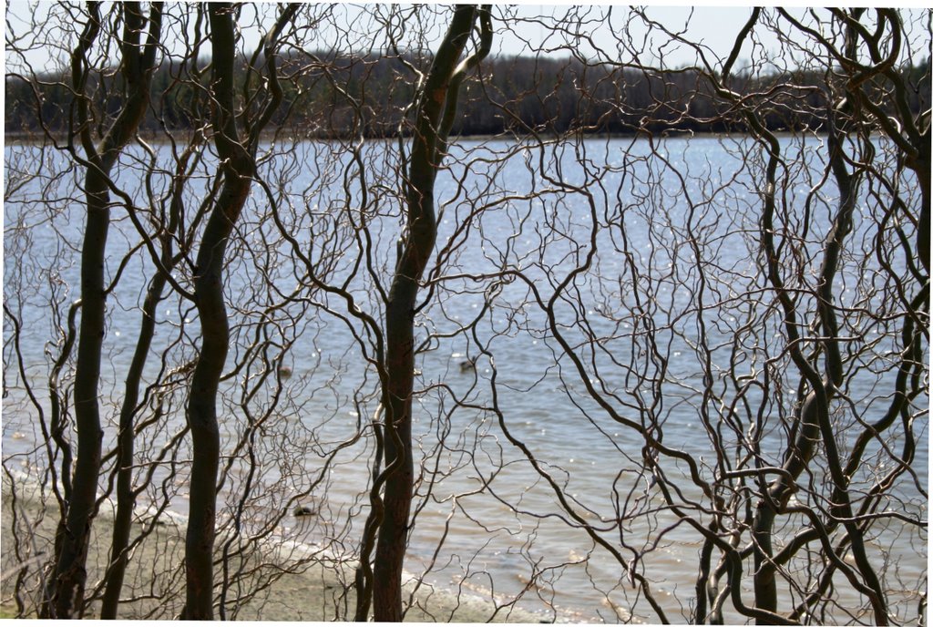 Early spring - Mel Swart Conservation Area, Thorold, Ontario, Canada by KathyT