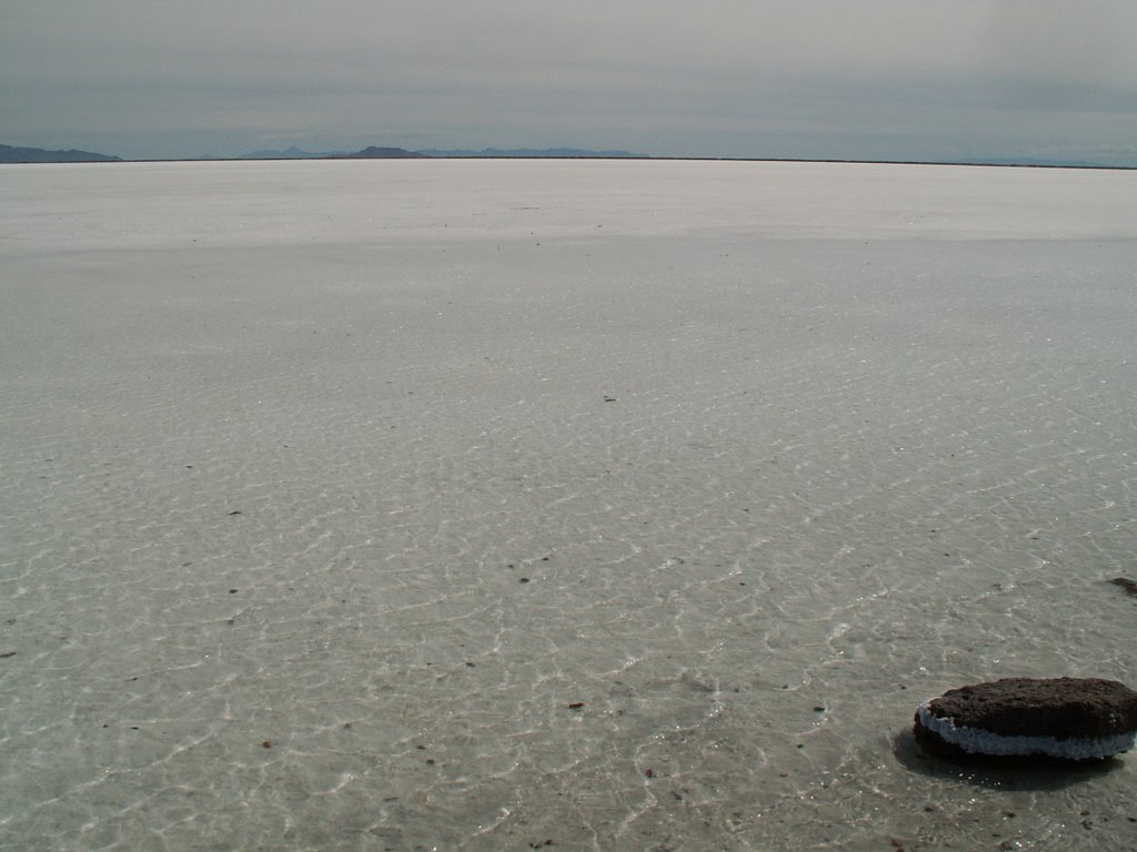 Boneville Salt Flats by Dana Jensen