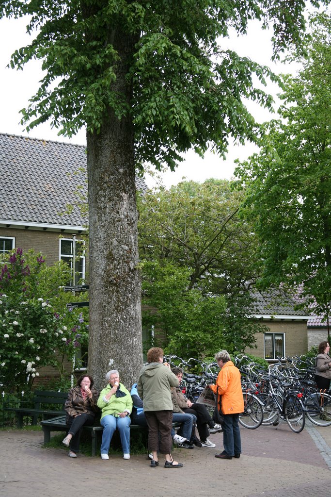 Nes, Ameland, Friesland, Nederland by Hans Sterkendries