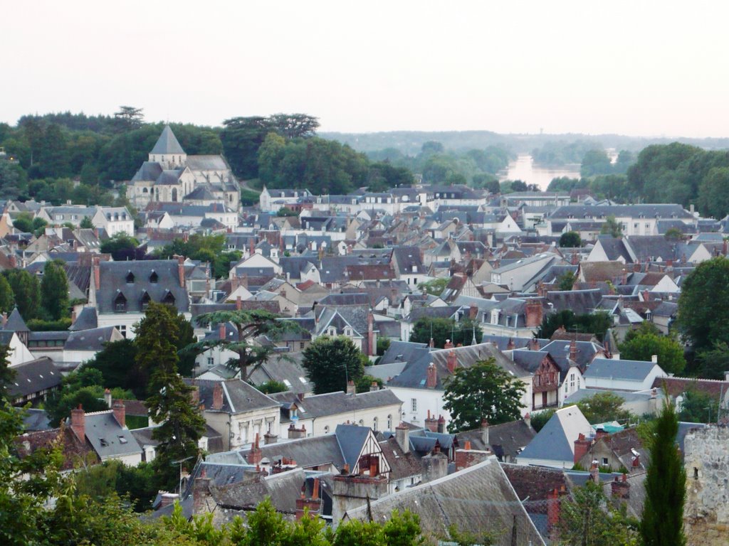 Amboise (Indre-et-Loire) by Naru Kenji