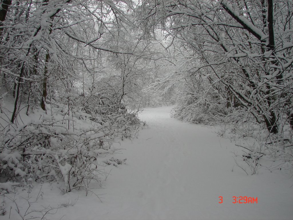 Tunel durch Schnee by papst66