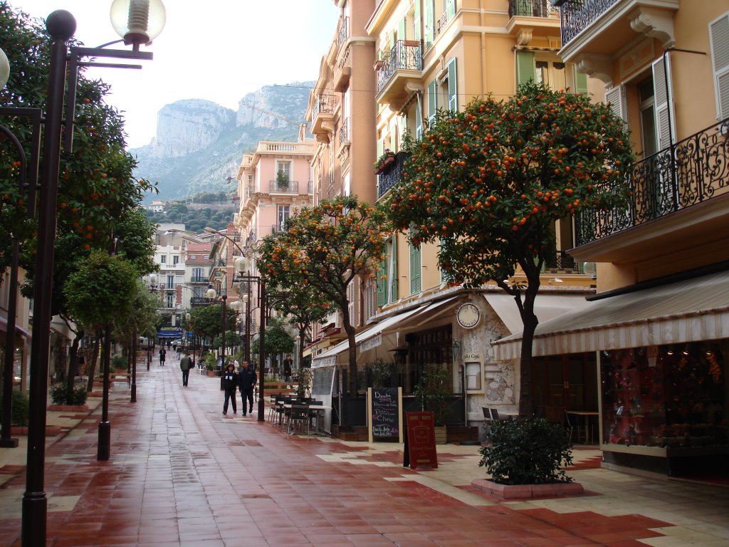 Tangerine Trees in Monaco by Fernando Araujo