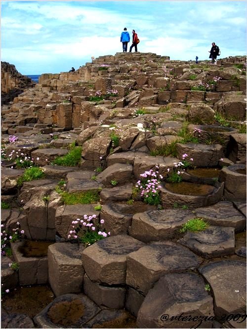 Giant's Causeway (North IRELAND) AZ ÓRIÁS ÚTJA a VIRÁGZÓ KÖVEKEN by vterezia