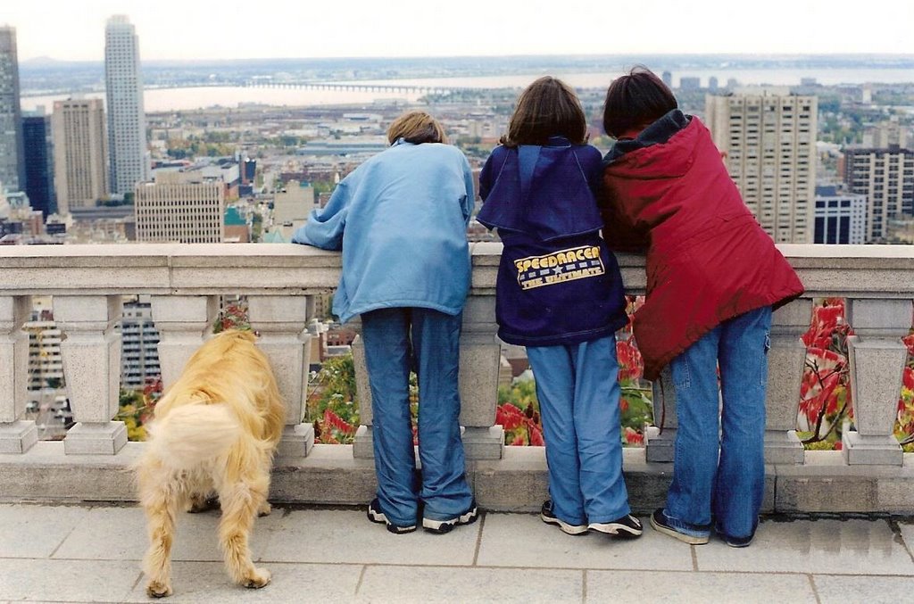 Ten legs admire Montreal by Vlad Iliescu