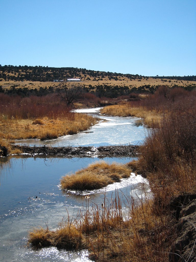 LATE DECEMBER BRINGS THIN ICE TO LITTLE COLORADO RIVER , WENIMA WILDLIFE AREA, ARIZONA by CRAIG LEDEN