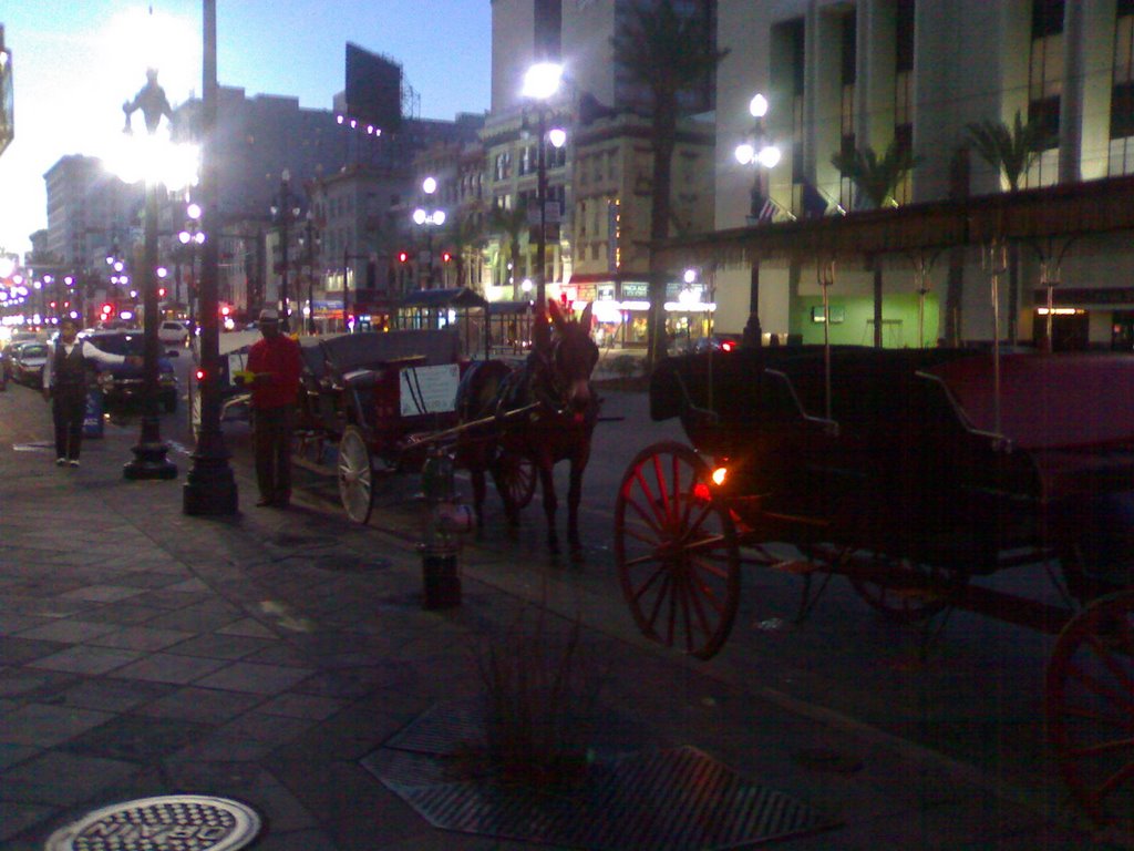 Horse Carriage by Meor Mahadir