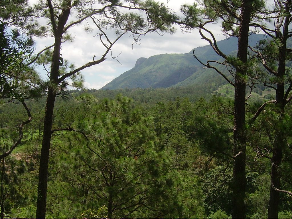 North toward El Pital by stephenbel