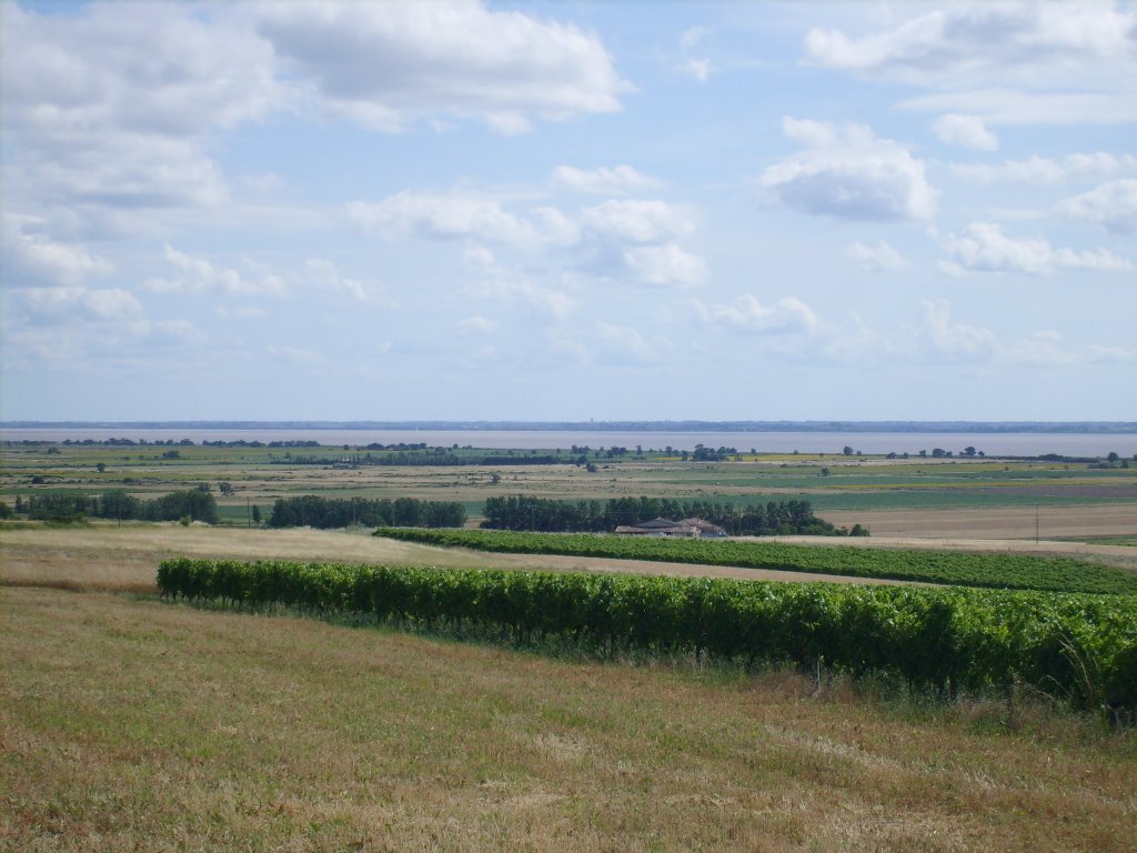 Coteaux de Gironde by FrenchCobber