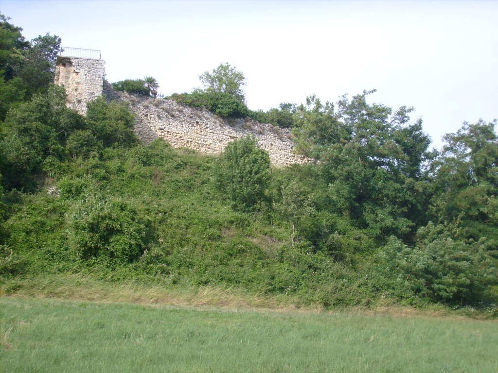 Ruines du château de Cônac by FrenchCobber