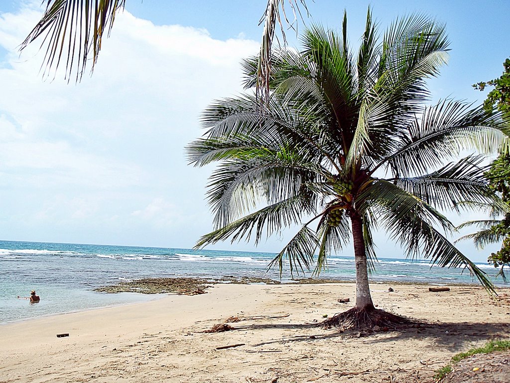 PUERTO VIEJO-LIMON -COSTA RICA by Yamil Herrera A