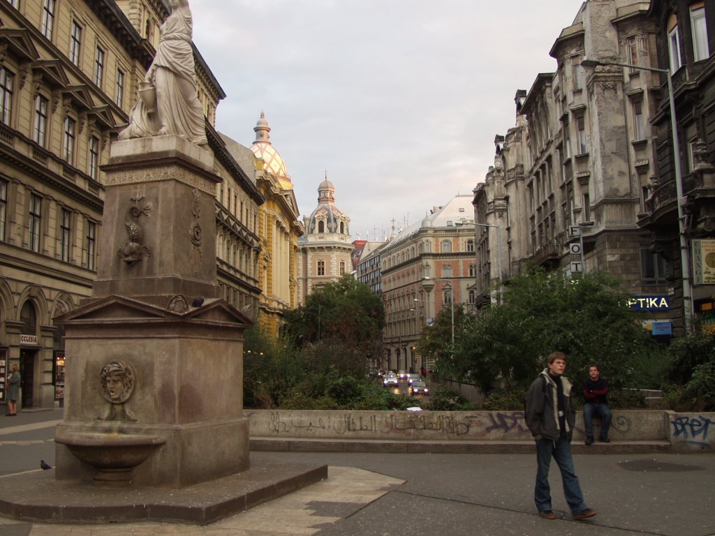 Budapest, Inner City, 1056 Hungary by fischerderfilmmacher