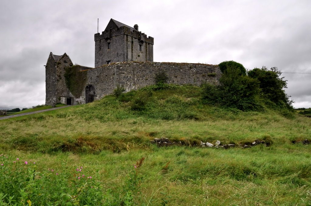 Dunguaire Castle by Nicola e Pina Irlanda 2009