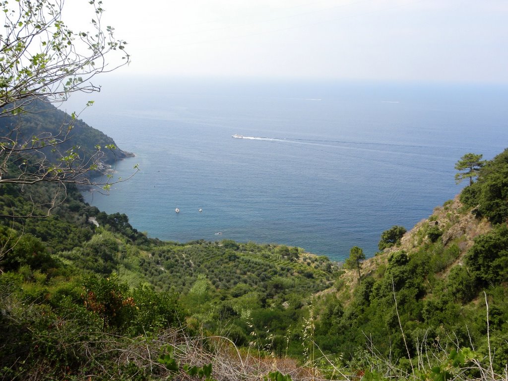 Guvano sea at Cinqueterre by lichinga