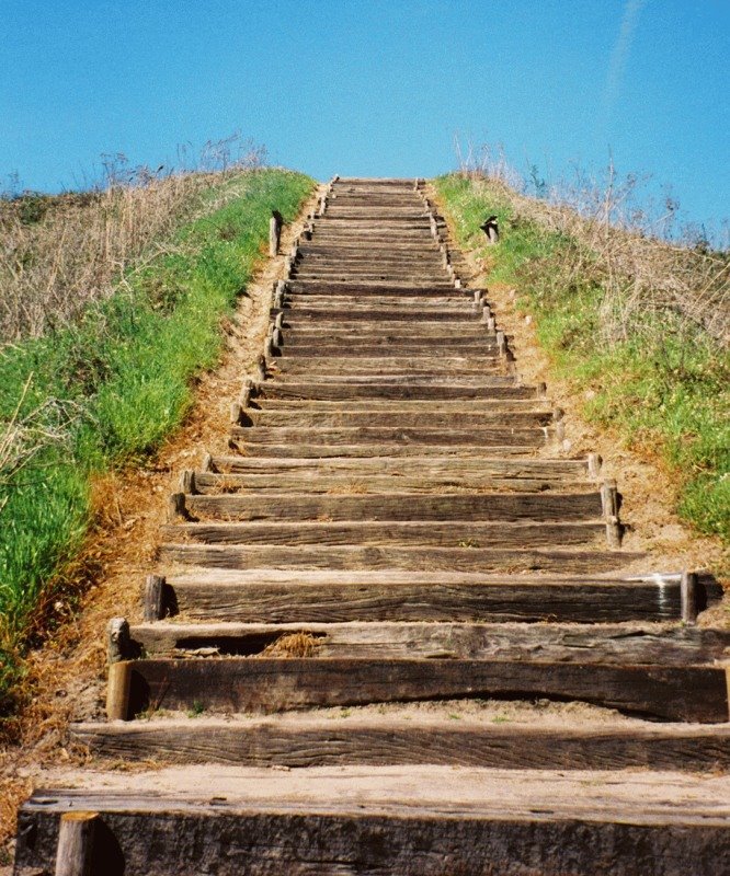 Mound B Stairs, Moundville, Alabama by jgoforth