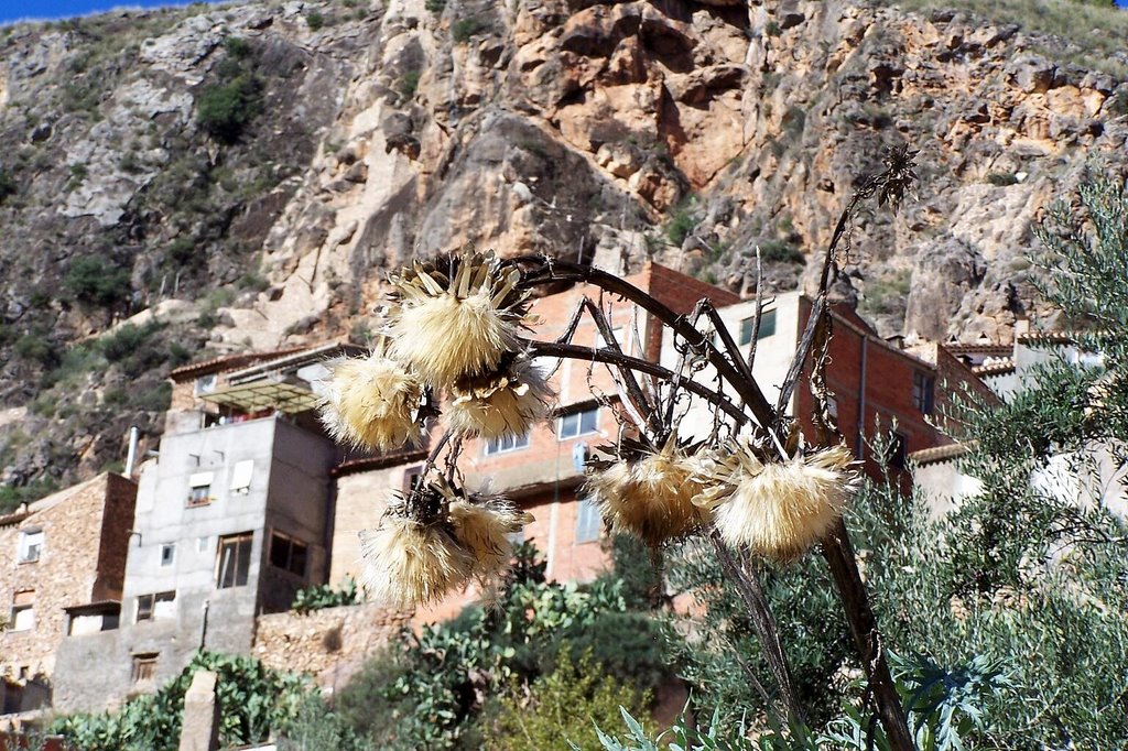 SIERRA DEL SEGURA ayna by D. VERDU