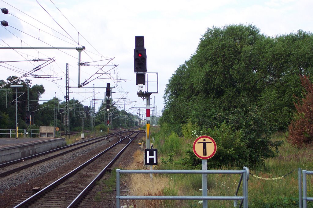 Ausfahrsignale 12N3 und 12N1 by Hurrug