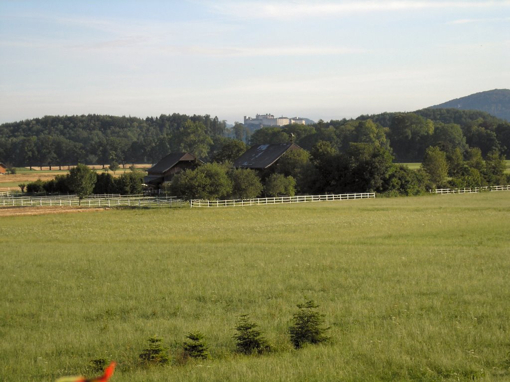 View from Gallnhof Pension-26.06.2009 by AnatolyA