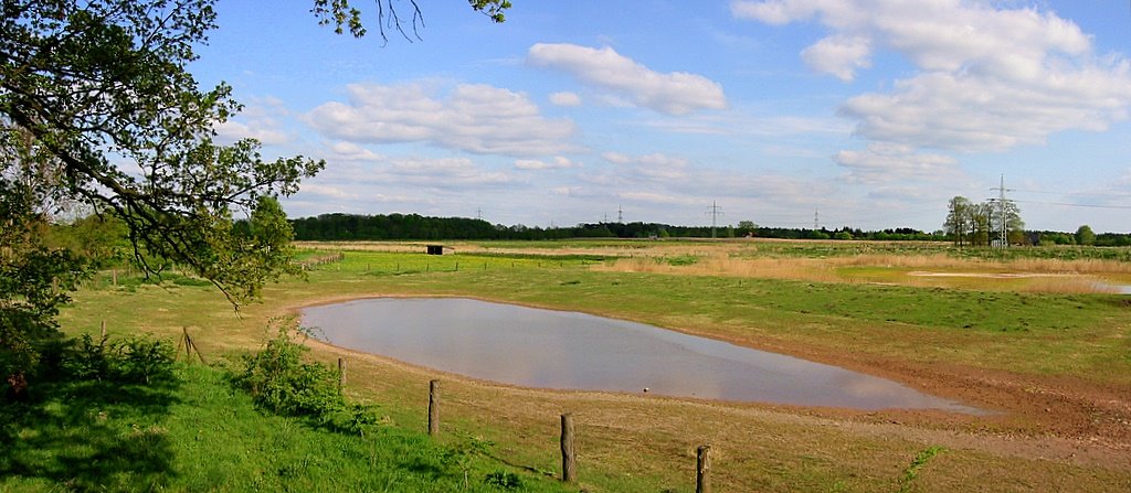 Blick vom Aussichtsturm der Biostation by merli