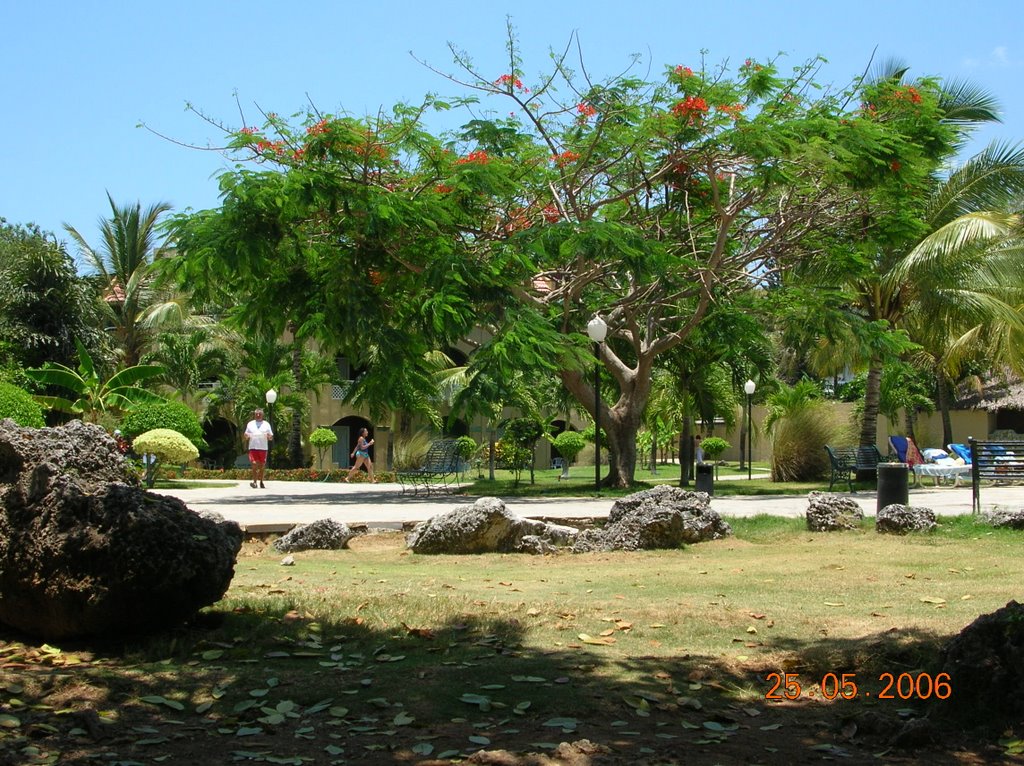 Gardens At Casa Marina by ianccfc