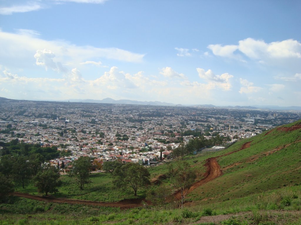 Colina abajo, Cerro del Gachupín by Jonathan F. Pérez Aldama