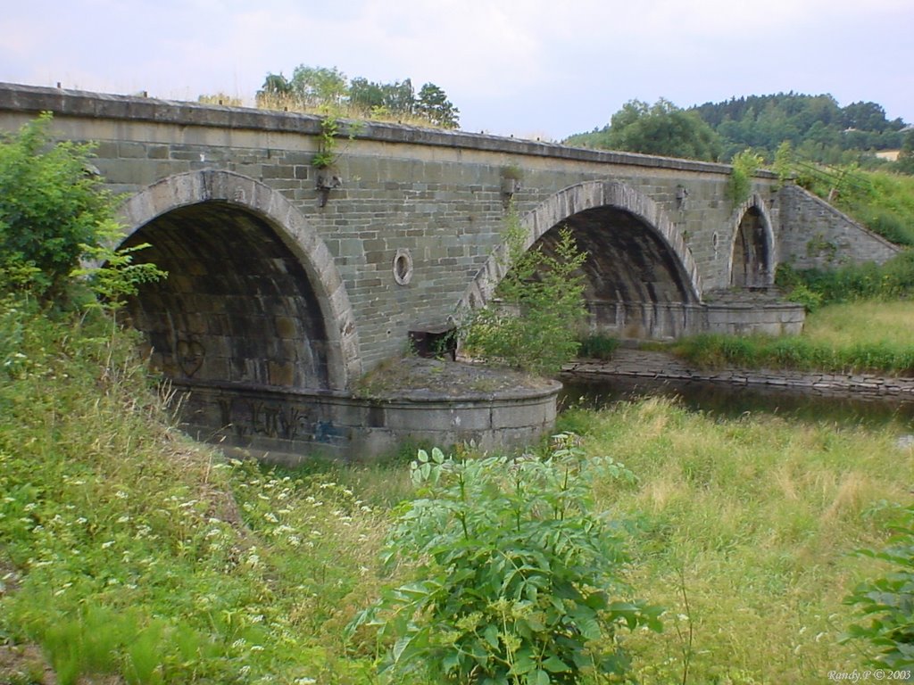 Alte Bahndammbrücke by Randy.P