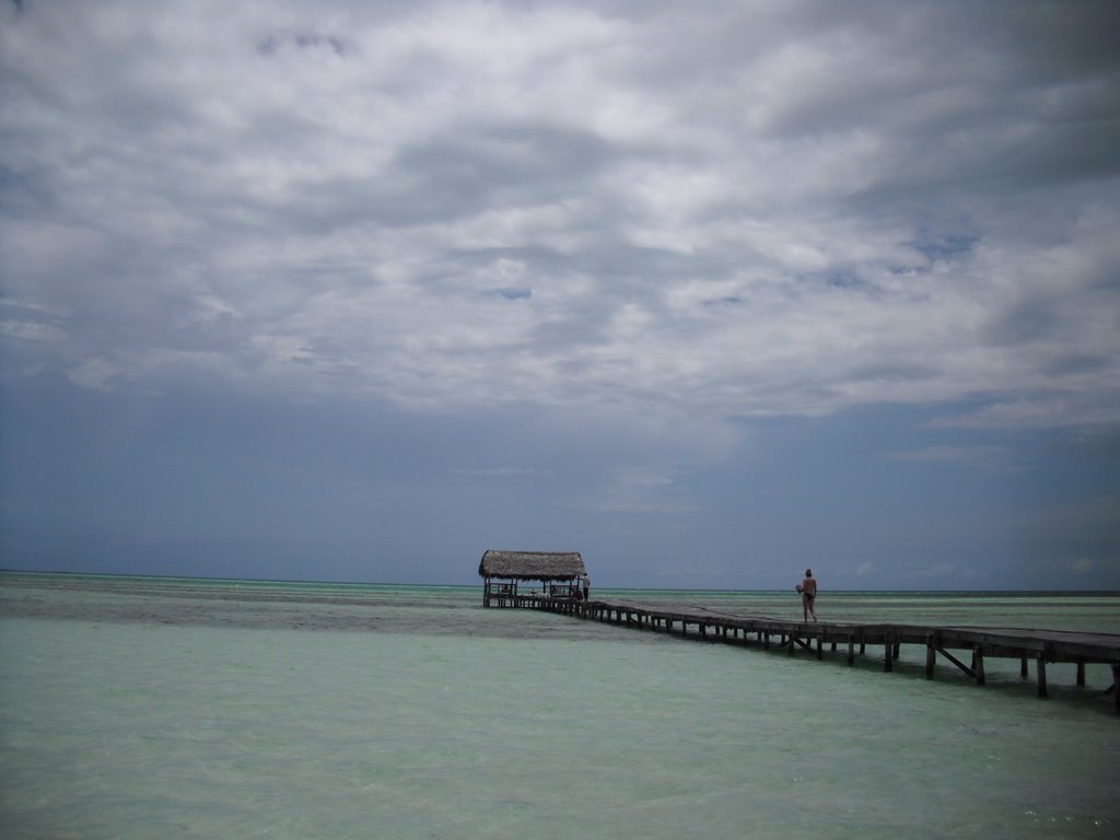 Unnamed Road, Cuba by Ludmila Greci