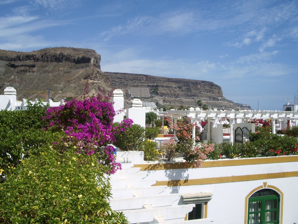 View from a roof terrace (2) by Denis Askew