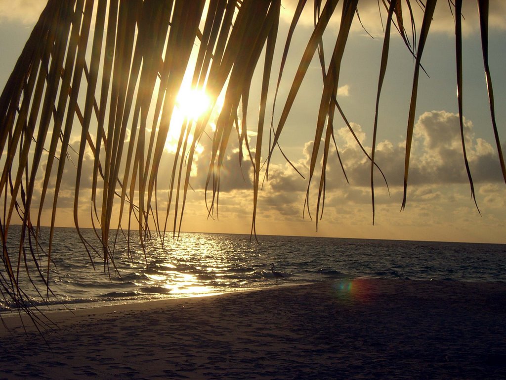 Vilamendhoo 2007 Sunset by Dirk64