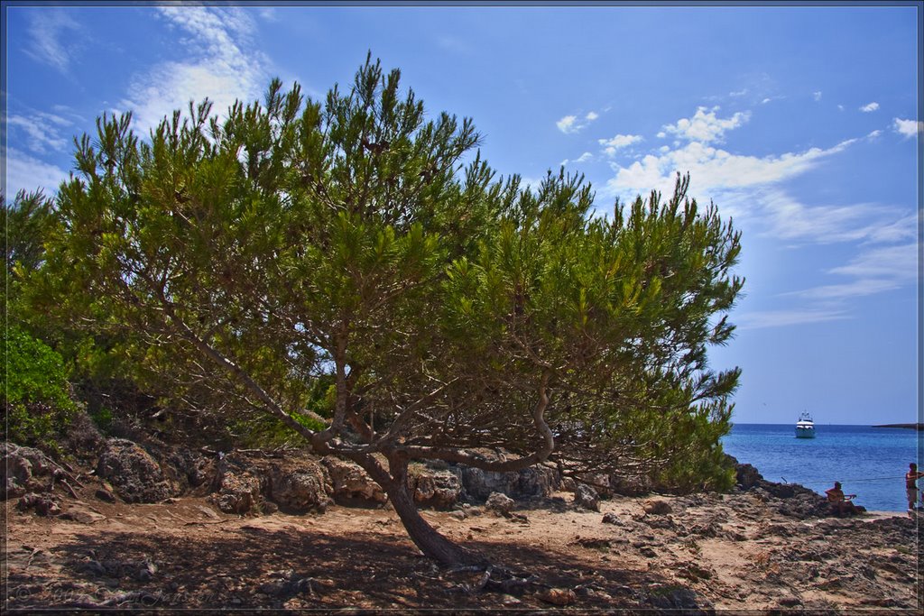 Son Saura, Menorca, Spain by Green Knee