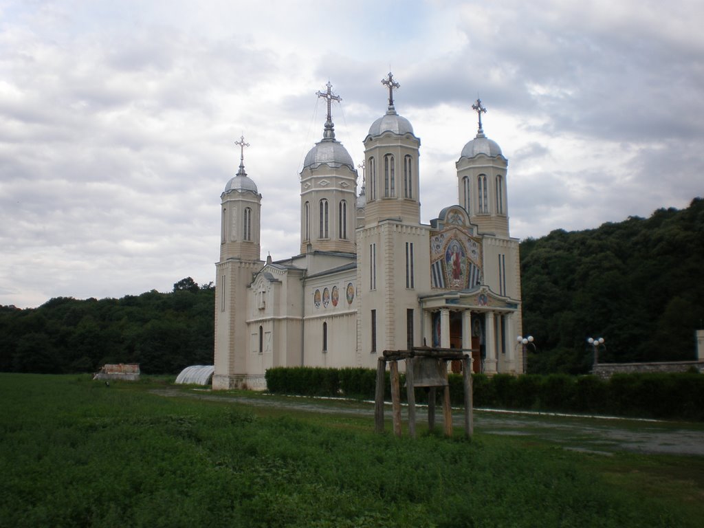 Manastirea Sf. Andrei (intre satele Ion Corvin - Negureni) by romano55