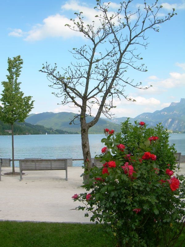 Mondsee (Moon lake) by Joe006