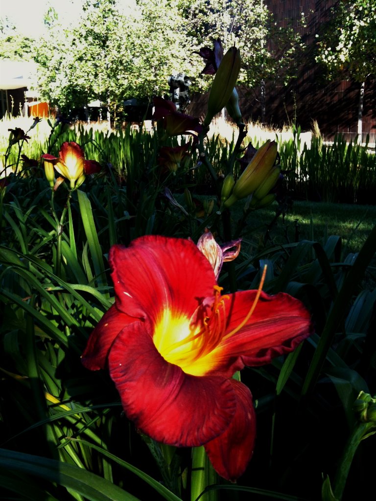 Garden, norton simon by John Gilbert