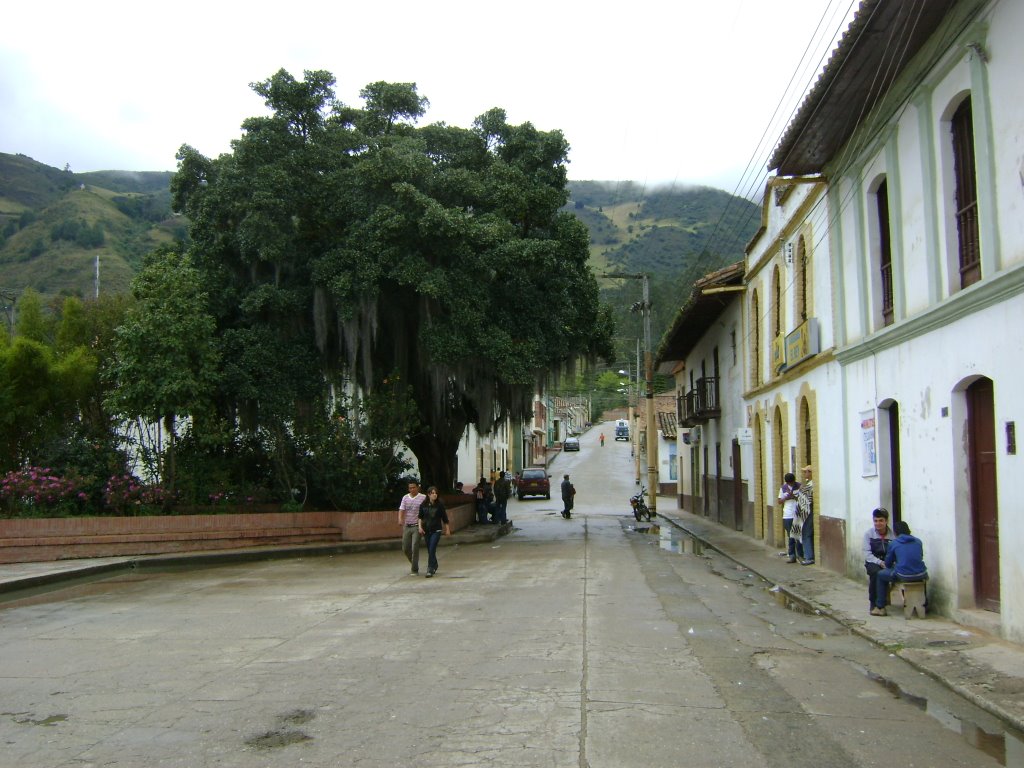 Calle, salida a Tunja by hramos777@gmail.com