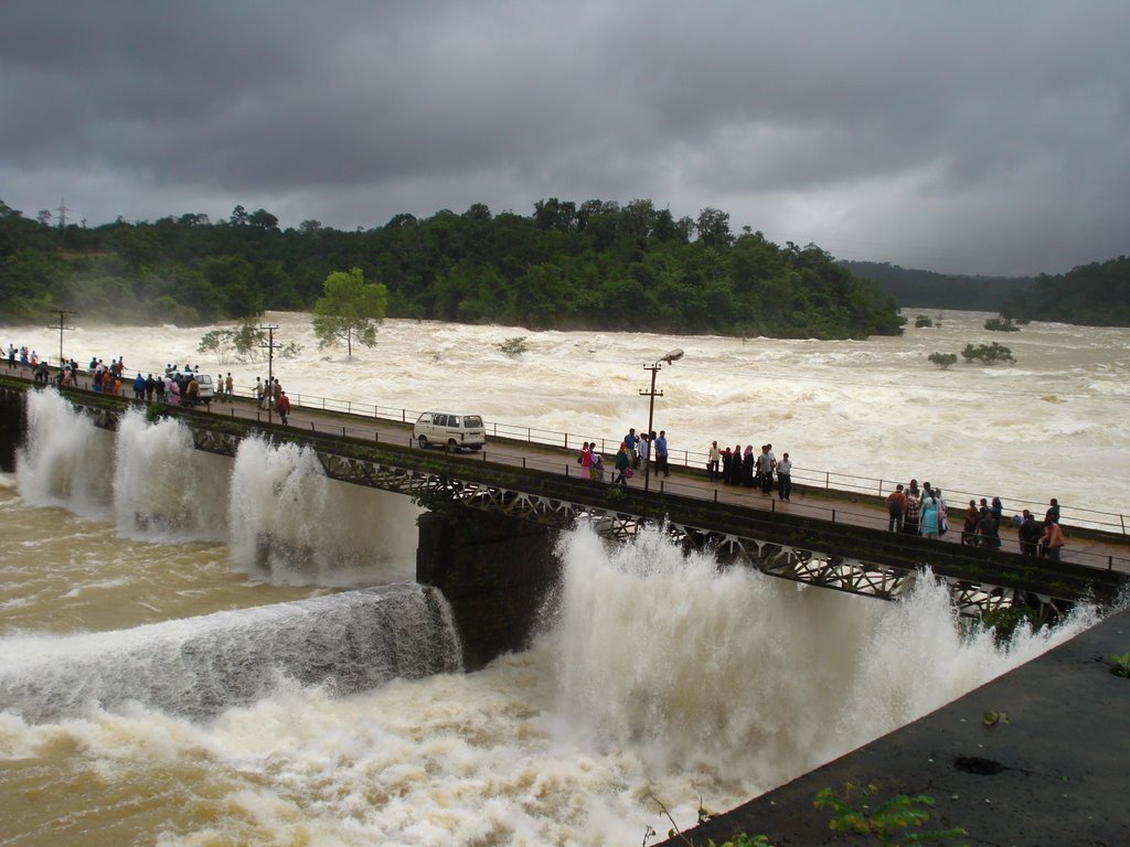 Jog falls by girish.yr