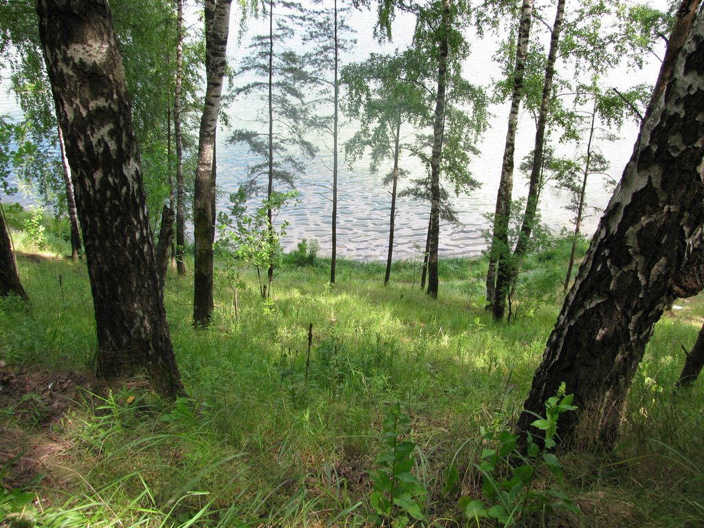 Kotelniki, Moscow Oblast, Russia by Андрей Субботин