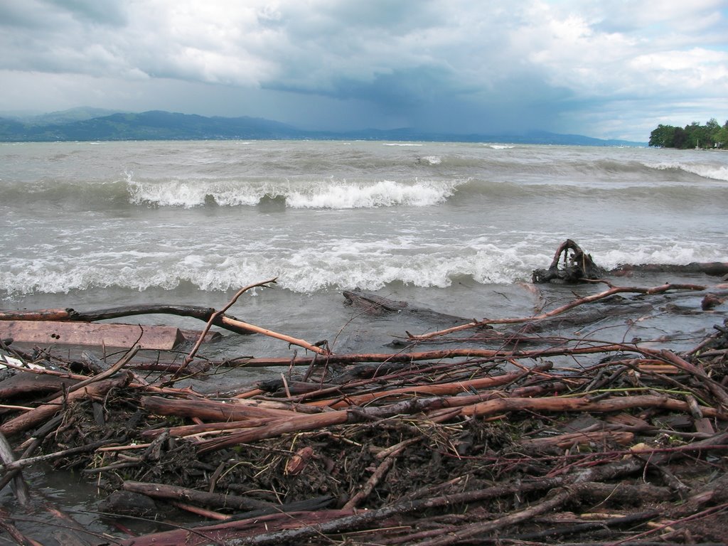 Unwetter am Bodensee by hollerjan