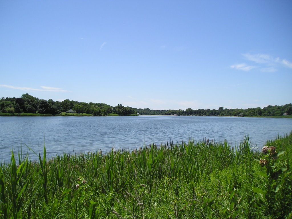 Glen Cove Dosoris Pond by Catuzza