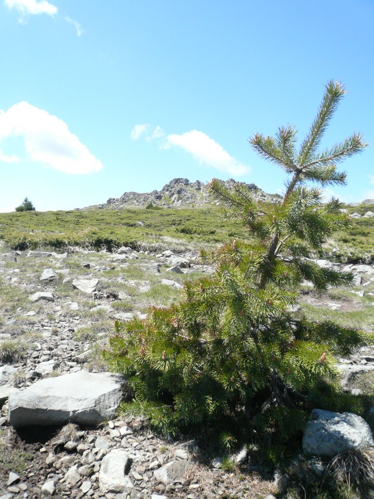 Rayon Vitosha, Bulgaria by k.borov