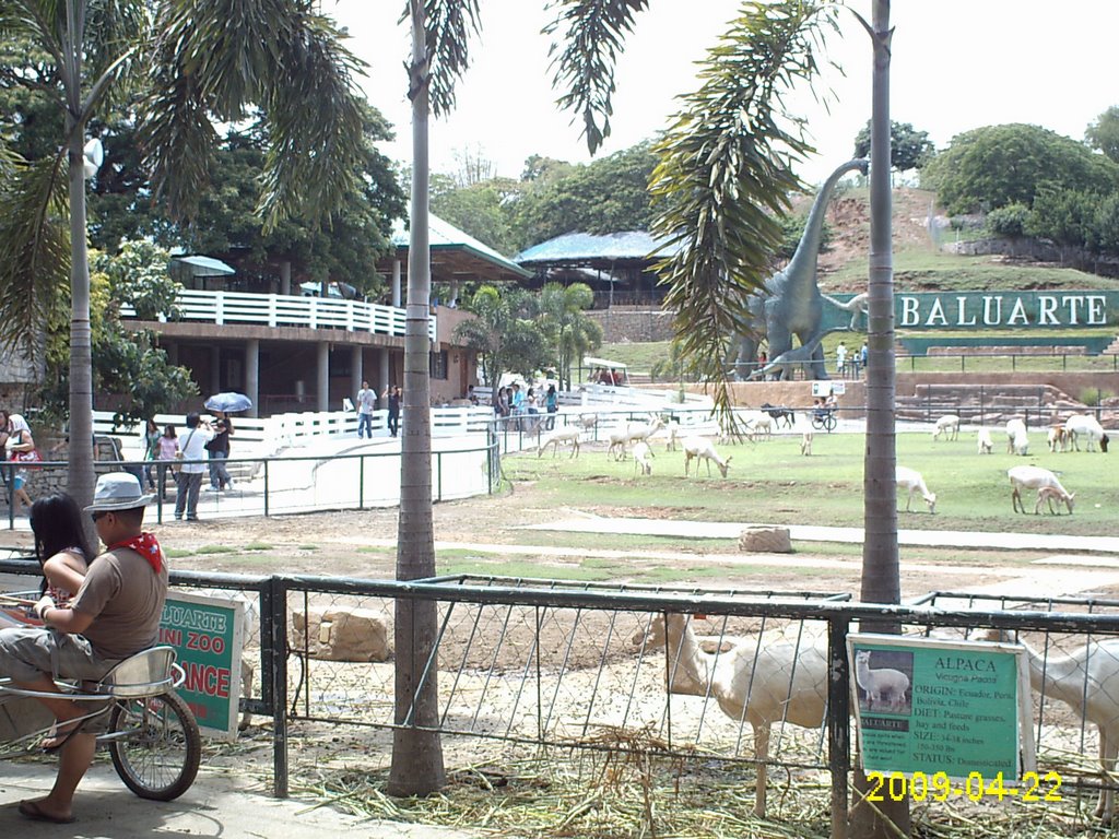 GOV. CHAVIT SINGSON - BALUARTE PARK - VIGAN ILOCOS SUR by jojof