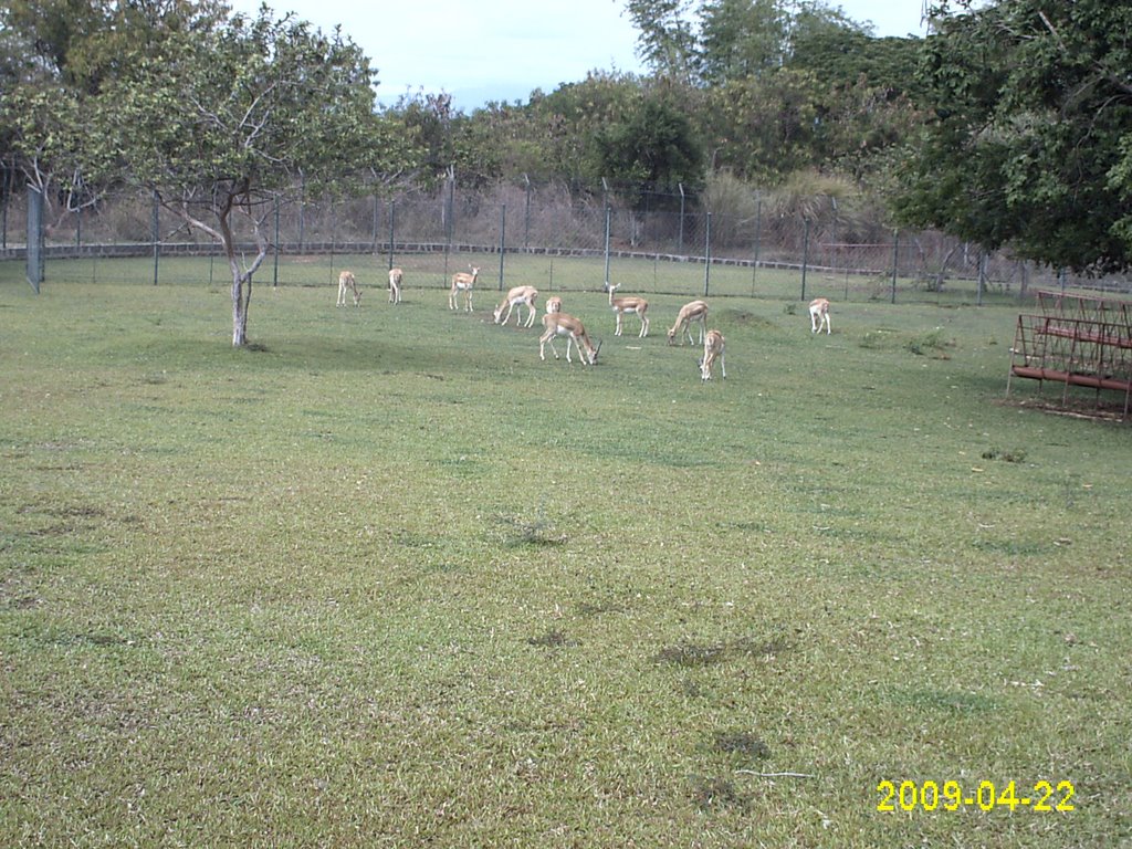 BALUARTE PARK - VIGAN ILOCOS SUR by jojof