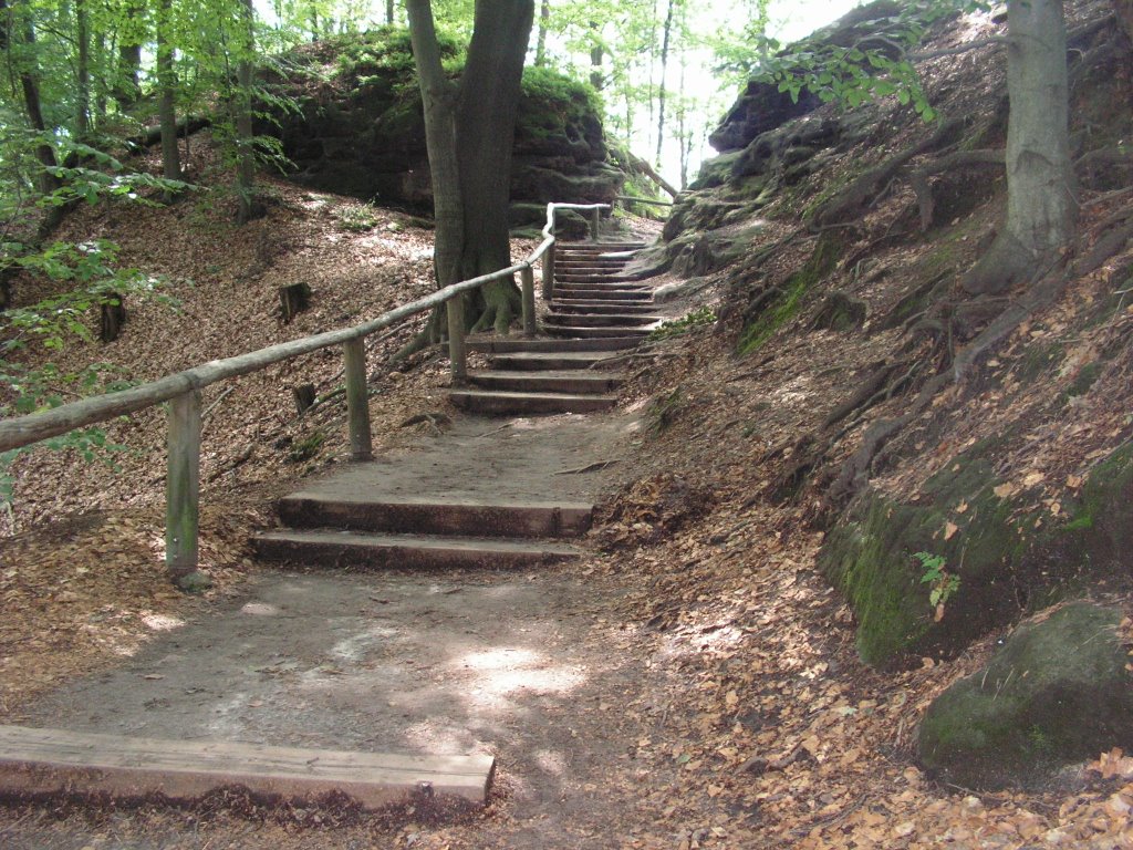 Németország, úton Bastei sziklái felé Rathenből (Sächsische Schweiz), SzG3 by Gábor Szalay