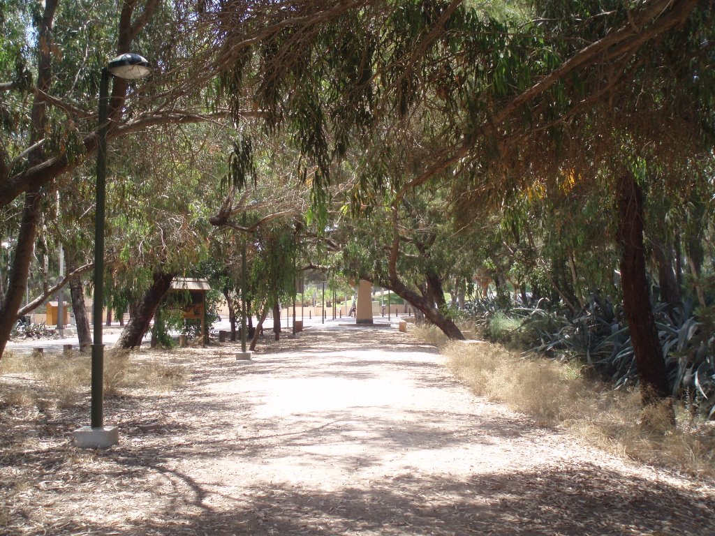 Acceso al Parque del Rey español Alfonso XIII de Borbón by xabier3007