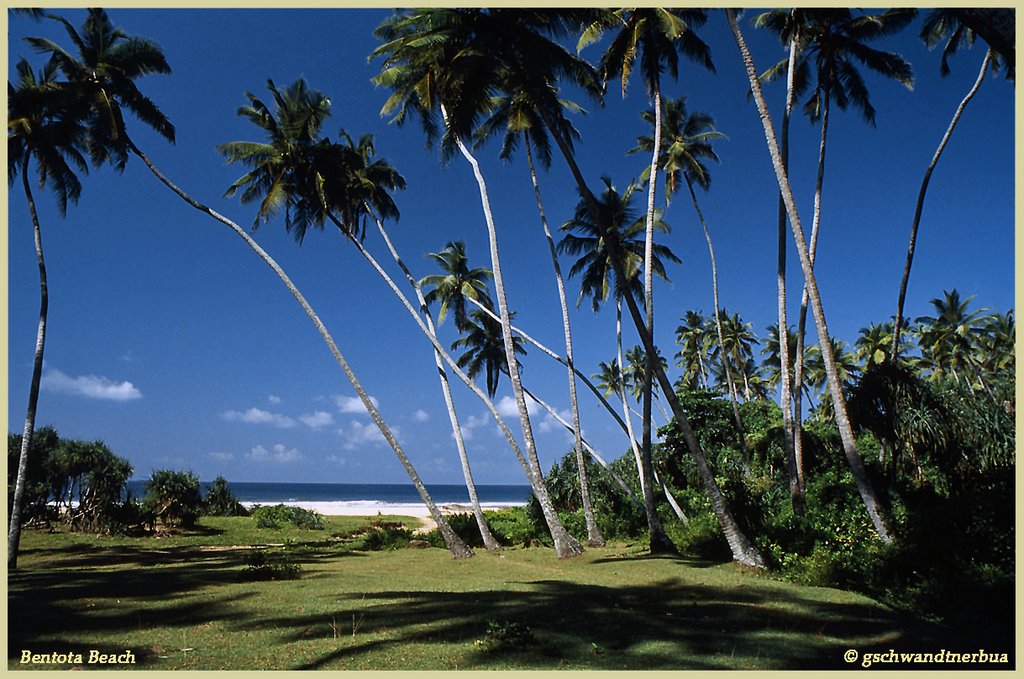 Bentota Beach 2 by gschwandtnerbua