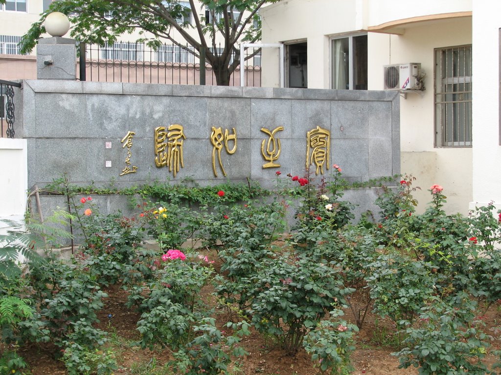 Foreign students dorm sign by Steven Grimm