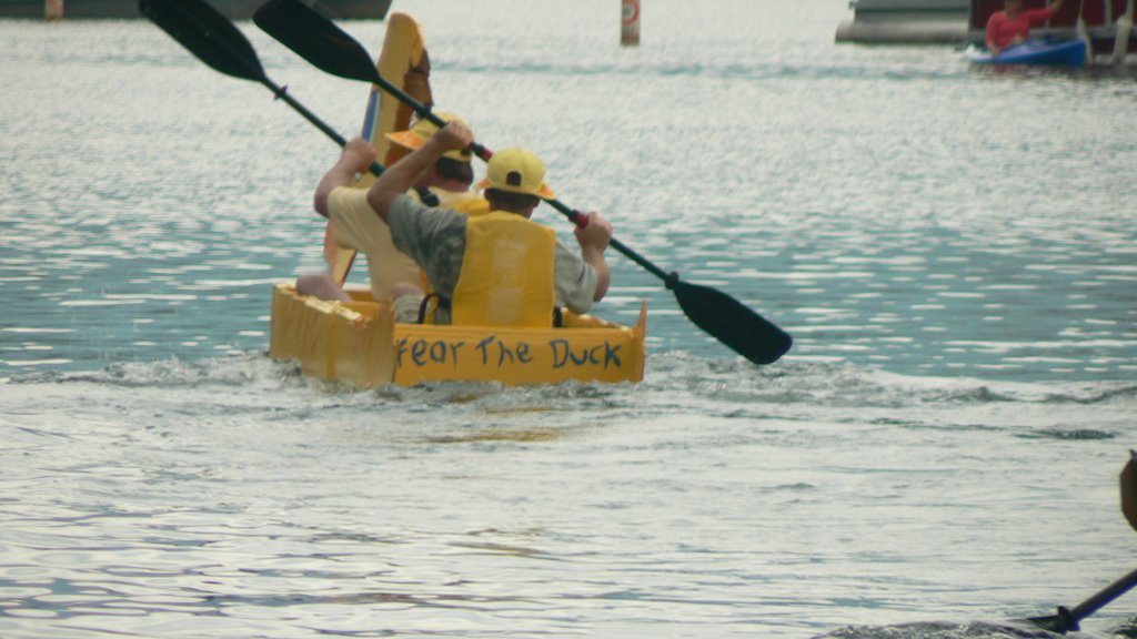 Cardboard Boat Race by photospy