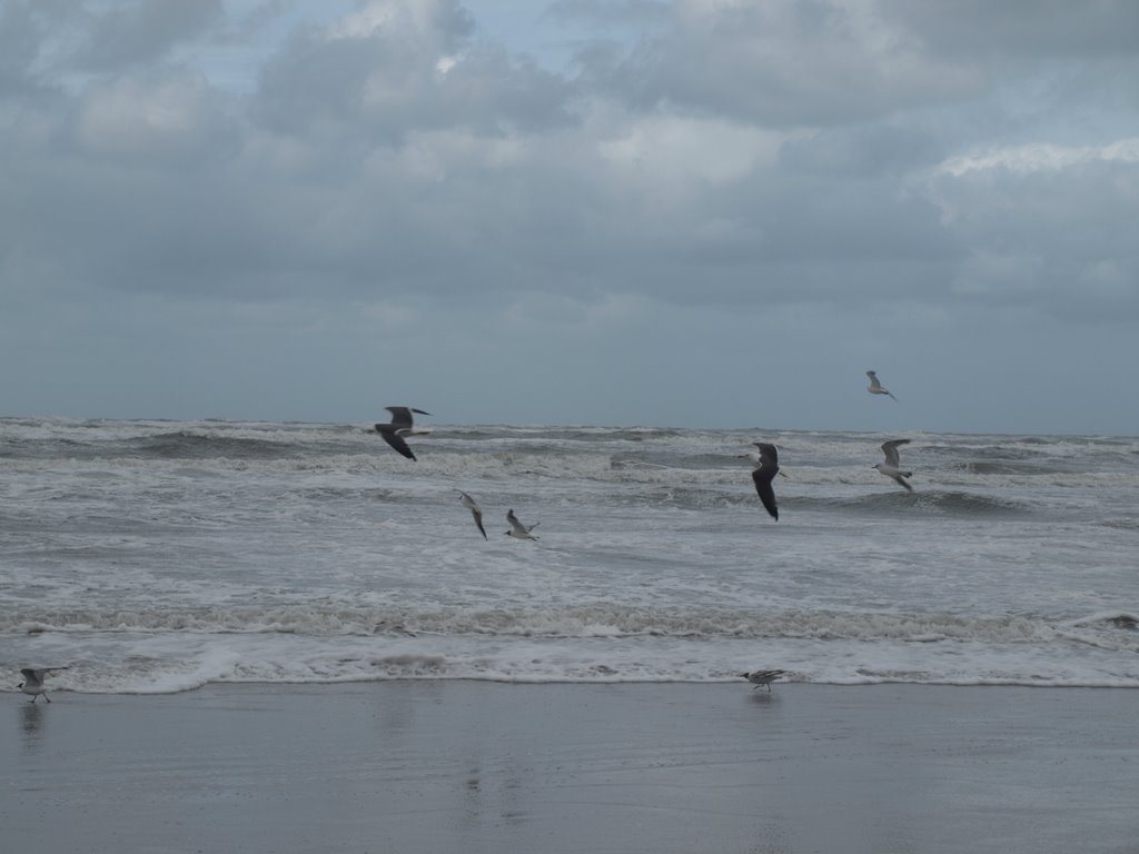 Noordzee by Hans R van der Woude